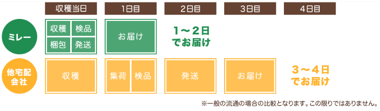 無農薬野菜ミレーの収穫からお届けまで