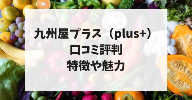 九州屋プラス（plus+）口コミ評判、特徴や魅力